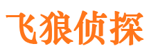 依安市侦探调查公司